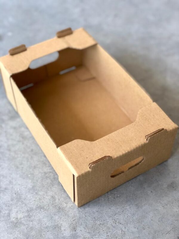caja 25x15x8 cm