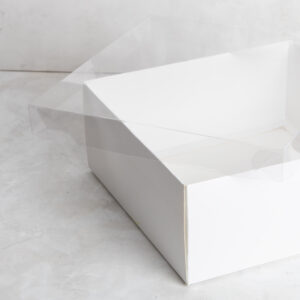 Caja Tapa Acetato y Base Cartulina Blanca – 25x25x10 cm – 10 u